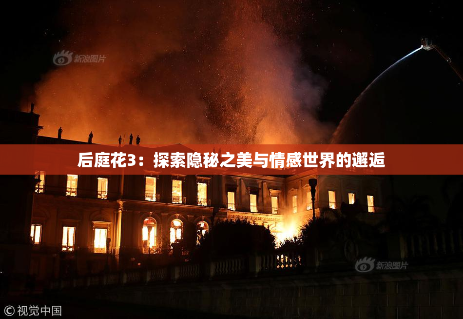 后庭花3：探索隐秘之美与情感世界的邂逅