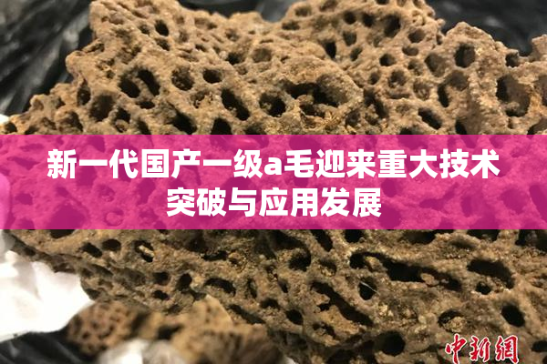 新一代国产一级a毛迎来重大技术突破与应用发展