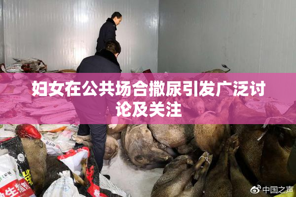 妇女在公共场合撒尿引发广泛讨论及关注