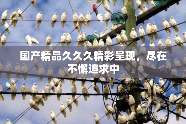 国产精品久久久精彩呈现，尽在不懈追求中