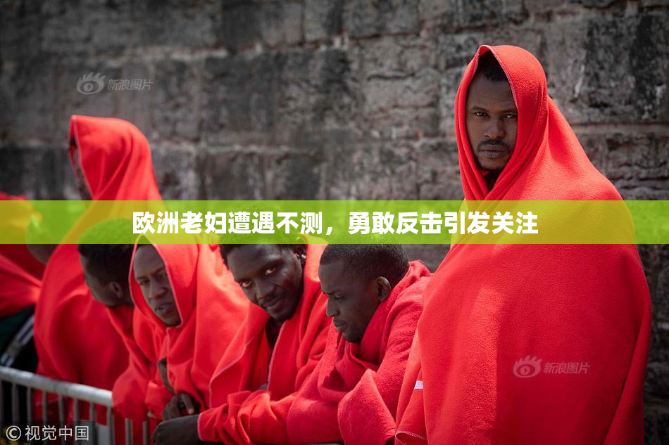 欧洲老妇遭遇不测，勇敢反击引发关注