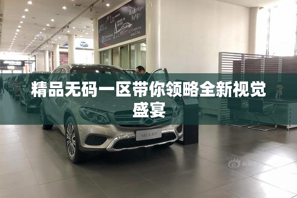 精品无码一区带你领略全新视觉盛宴