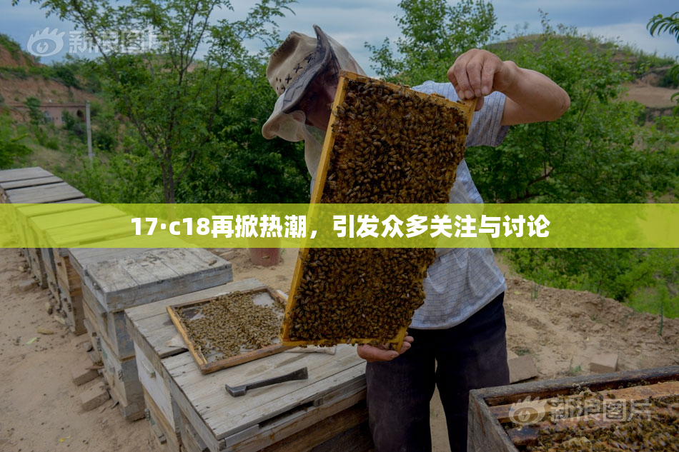 17·c18再掀热潮，引发众多关注与讨论