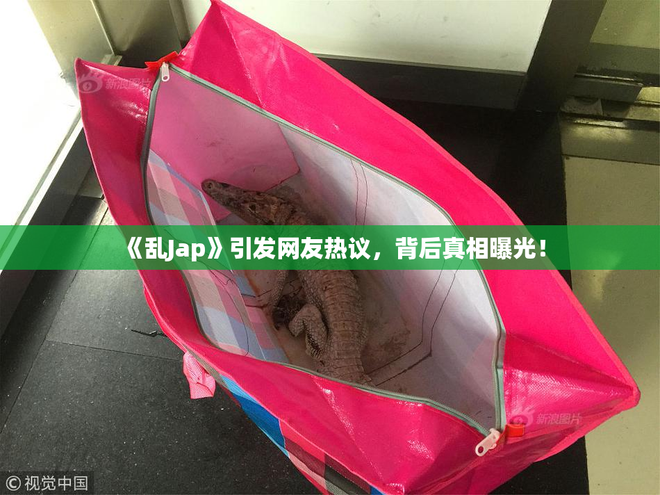 《乱Jap》引发网友热议，背后真相曝光！