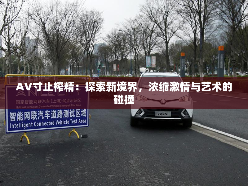 AV寸止榨精：探索新境界，浓缩激情与艺术的碰撞