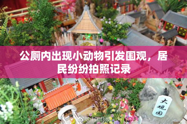 公厕内出现小动物引发围观，居民纷纷拍照记录