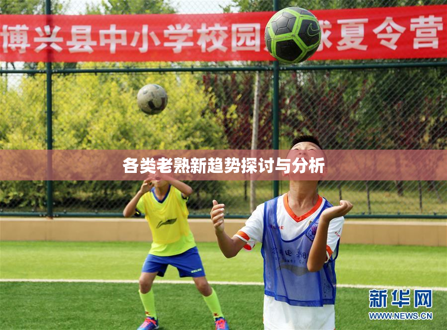 各类老熟新趋势探讨与分析