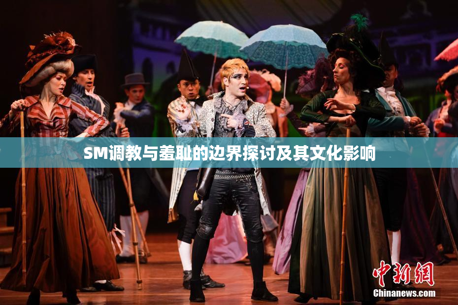 SM调教与羞耻的边界探讨及其文化影响