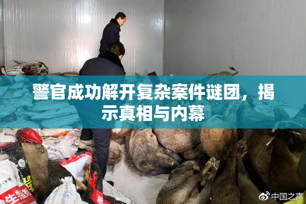 警官成功解开复杂案件谜团，揭示真相与内幕