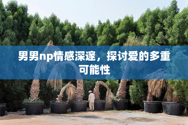 男男np情感深邃，探讨爱的多重可能性