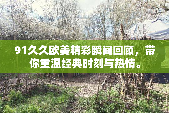 91久久欧美精彩瞬间回顾，带你重温经典时刻与热情。