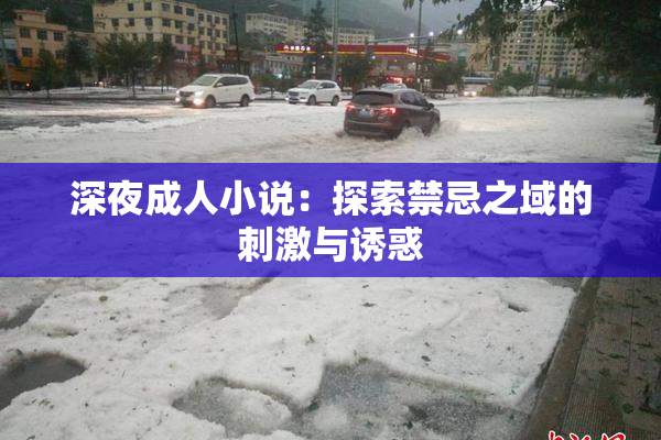 深夜成人小说：探索禁忌之域的刺激与诱惑