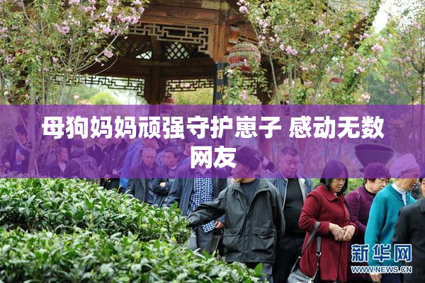 母狗妈妈顽强守护崽子 感动无数网友