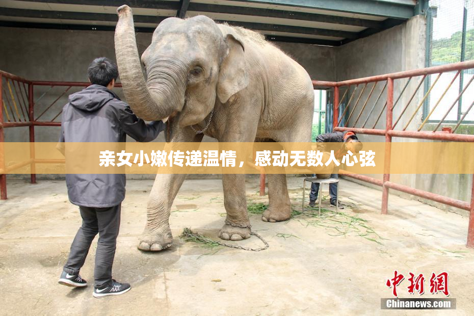 亲女小嫩传递温情，感动无数人心弦