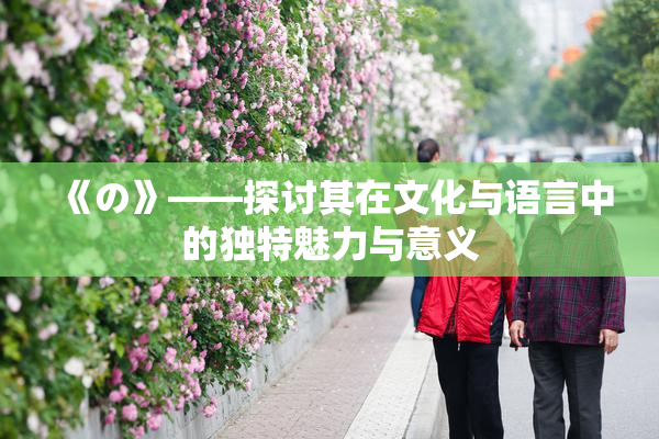 《の》——探讨其在文化与语言中的独特魅力与意义