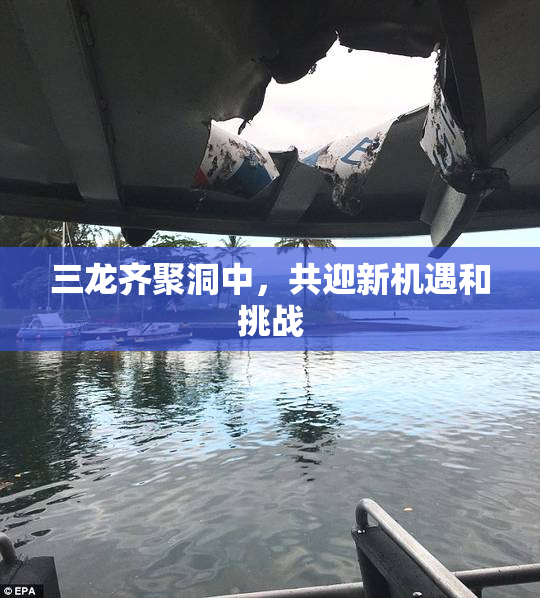 三龙齐聚洞中，共迎新机遇和挑战