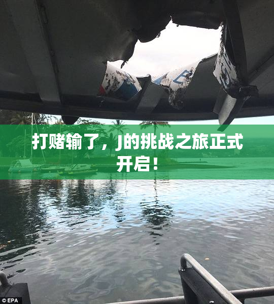 打赌输了，J的挑战之旅正式开启！