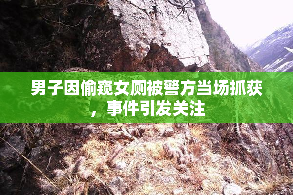男子因偷窥女厕被警方当场抓获，事件引发关注
