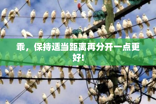 乖，保持适当距离再分开一点更好!