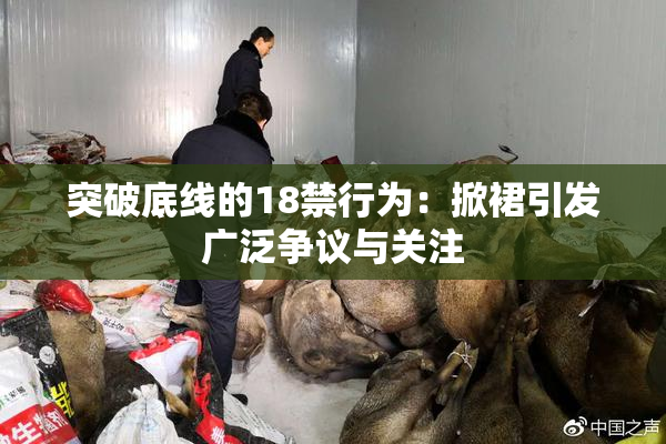 突破底线的18禁行为：掀裙引发广泛争议与关注