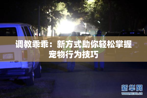 调教乖乖：新方式助你轻松掌握宠物行为技巧