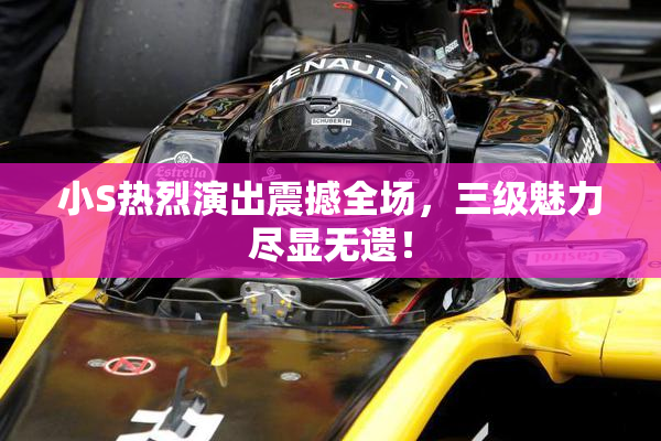 小S热烈演出震撼全场，三级魅力尽显无遗！