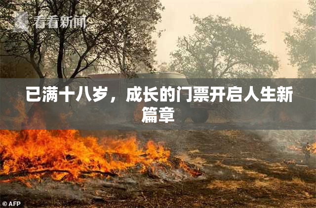 已满十八岁，成长的门票开启人生新篇章