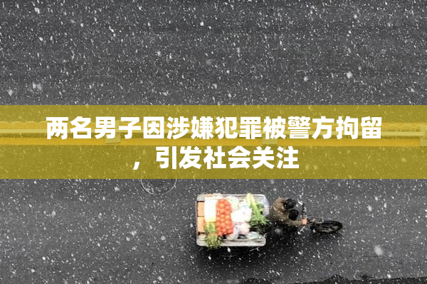 两名男子因涉嫌犯罪被警方拘留，引发社会关注