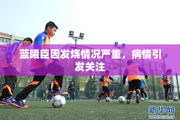 蓝曦臣因发烧情况严重，病情引发关注