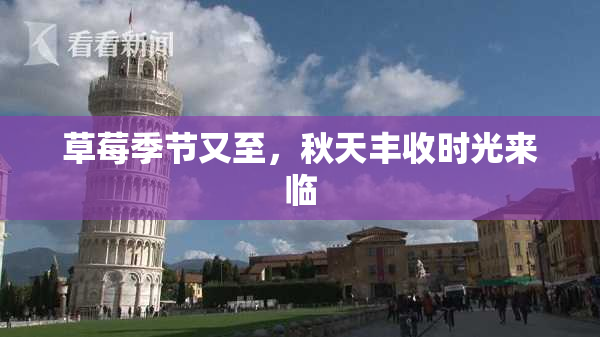 草莓季节又至，秋天丰收时光来临