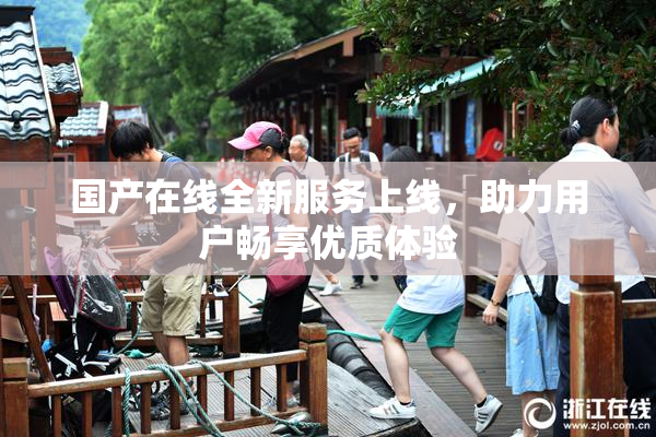 国产在线全新服务上线，助力用户畅享优质体验