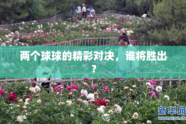 两个球球的精彩对决，谁将胜出？