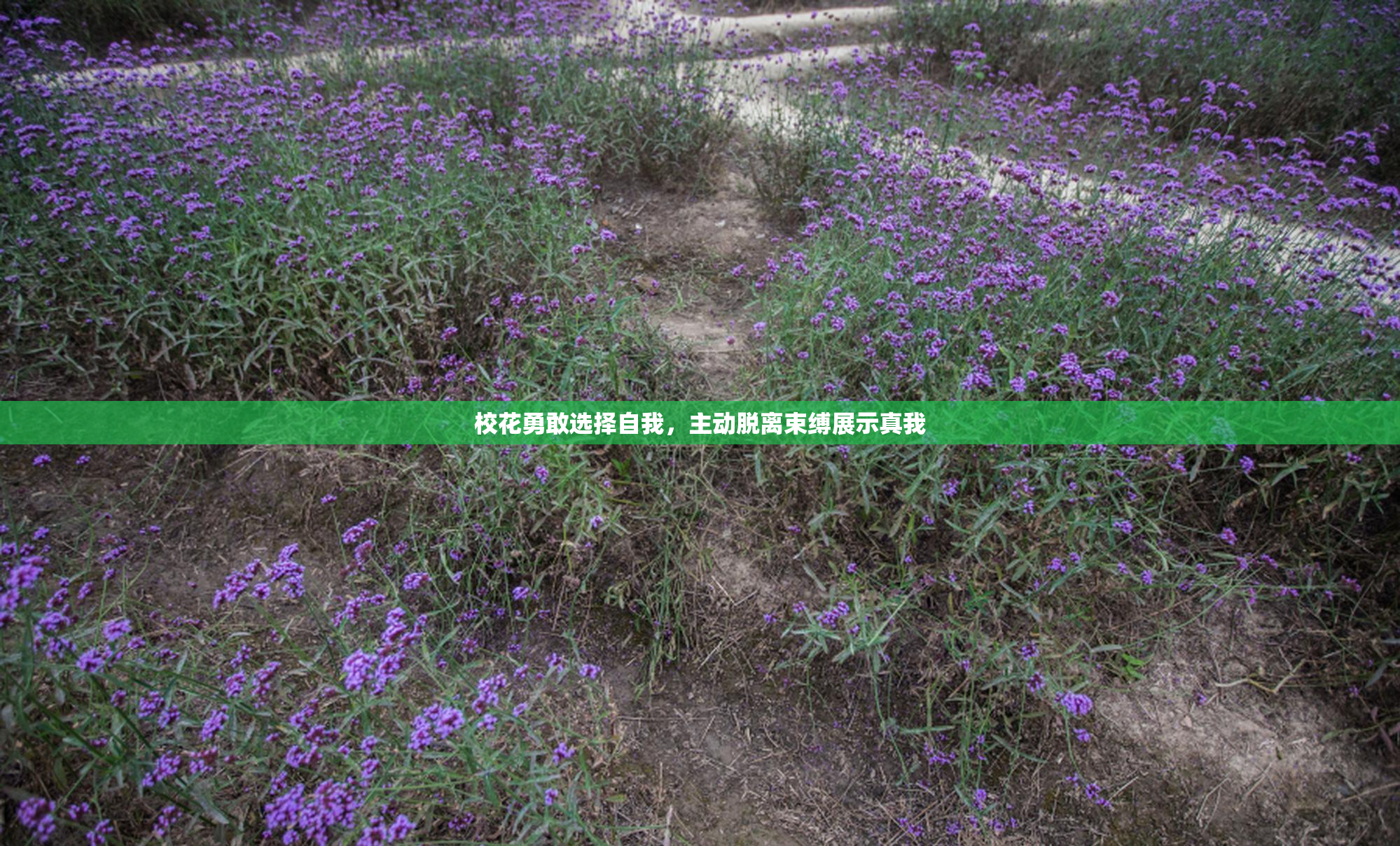 校花勇敢选择自我，主动脱离束缚展示真我