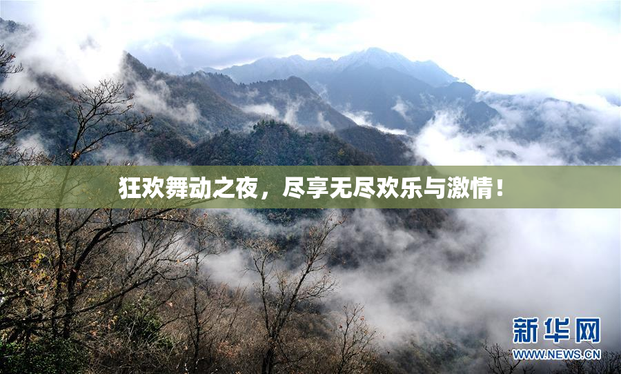 狂欢舞动之夜，尽享无尽欢乐与激情！