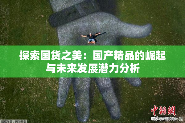 探索国货之美：国产精品的崛起与未来发展潜力分析