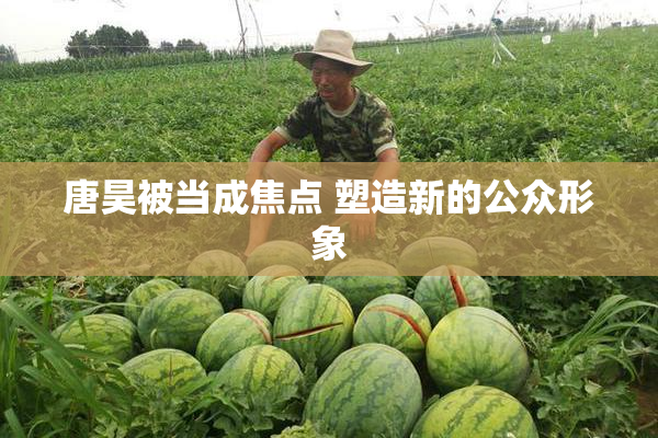 唐昊被当成焦点 塑造新的公众形象