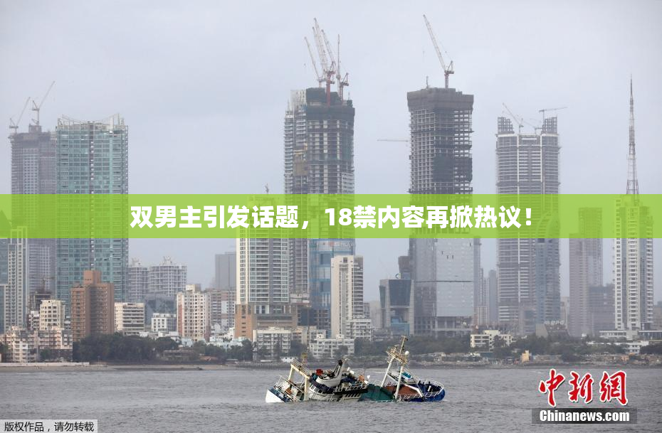 双男主引发话题，18禁内容再掀热议！