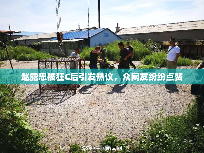 赵露思被狂C后引发热议，众网友纷纷点赞