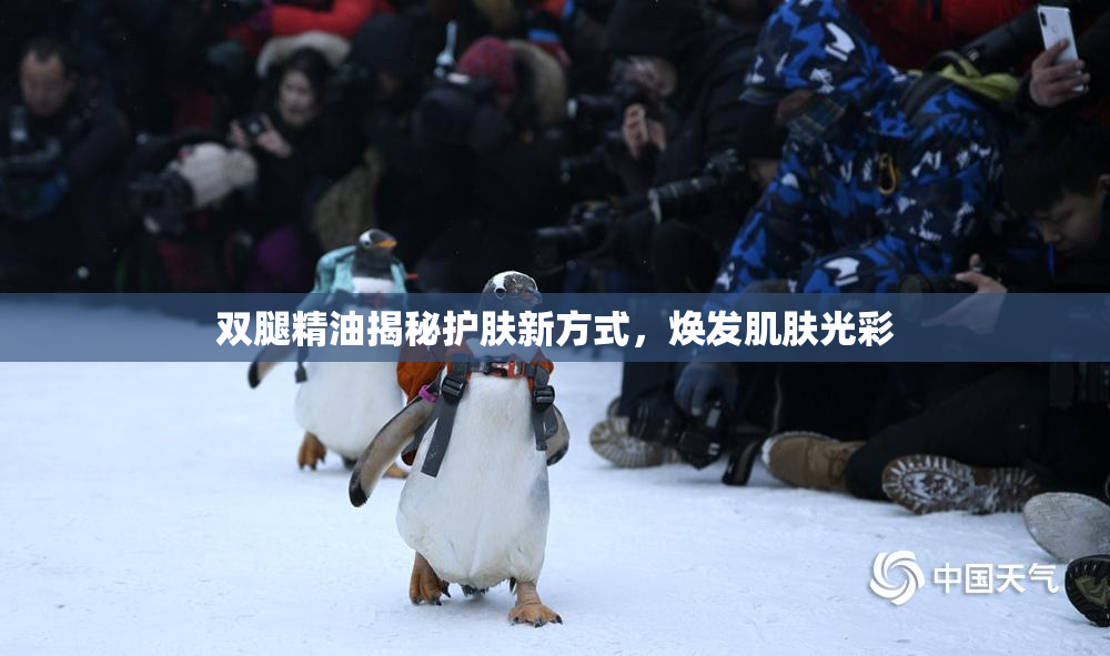 双腿精油揭秘护肤新方式，焕发肌肤光彩