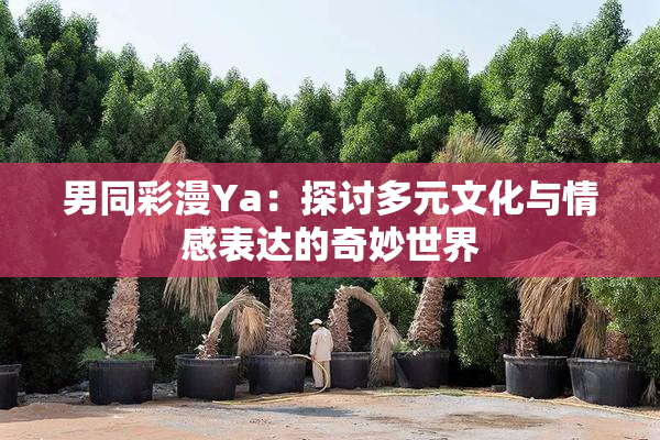 男同彩漫Ya：探讨多元文化与情感表达的奇妙世界