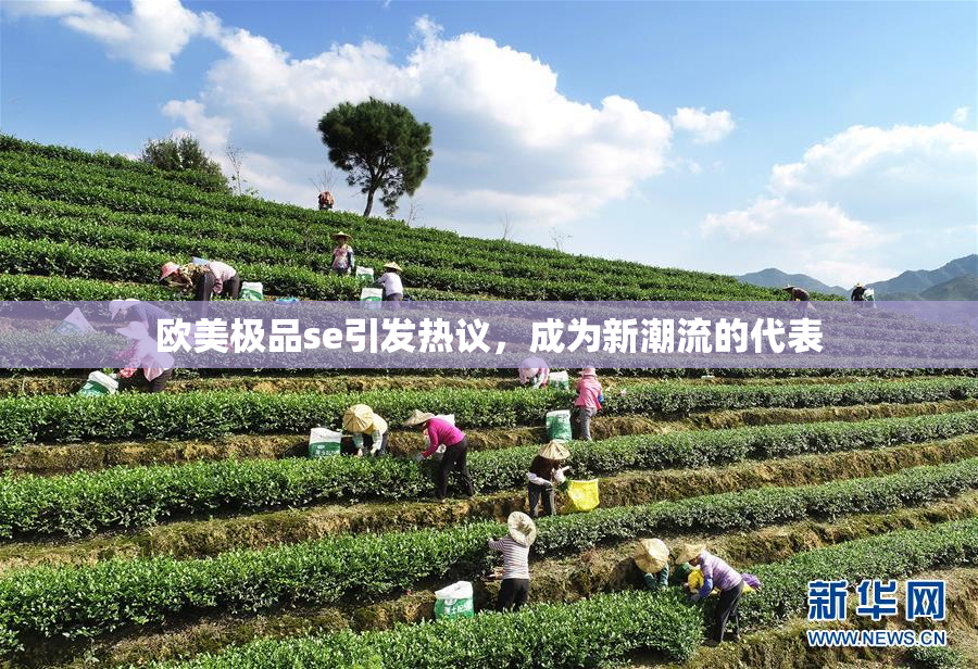 欧美极品se引发热议，成为新潮流的代表