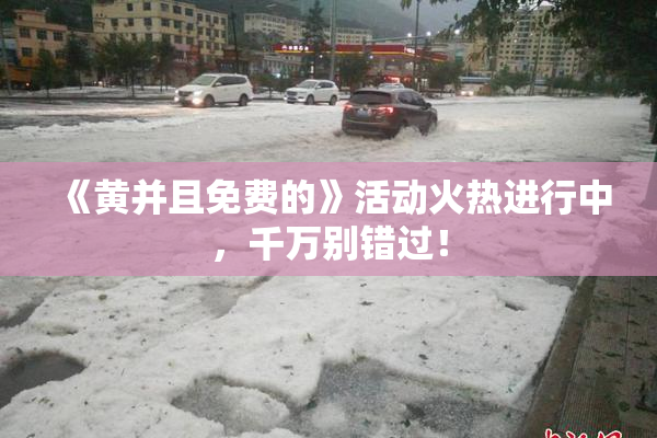 《黄并且免费的》活动火热进行中，千万别错过！
