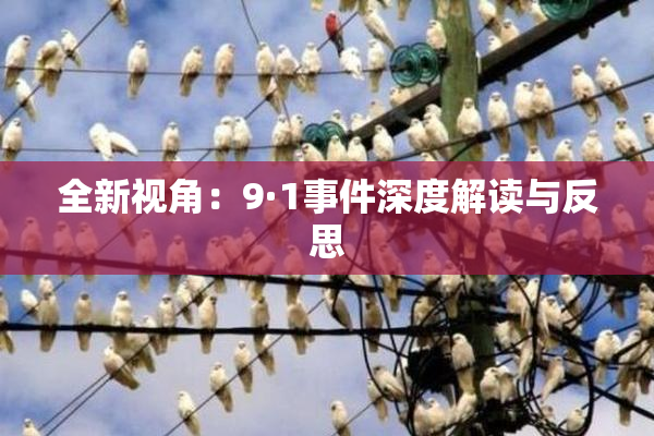 全新视角：9·1事件深度解读与反思
