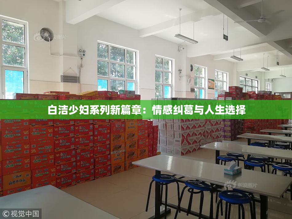白洁少妇系列新篇章：情感纠葛与人生选择