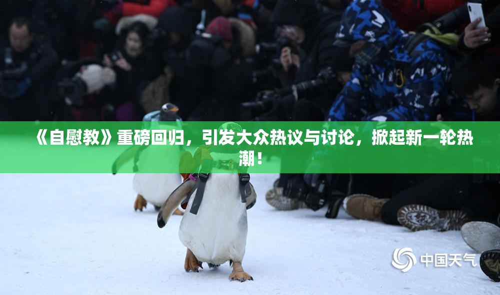 《自慰教》重磅回归，引发大众热议与讨论，掀起新一轮热潮！