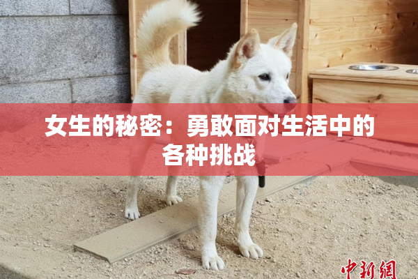 女生的秘密：勇敢面对生活中的各种挑战