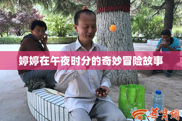 婷婷在午夜时分的奇妙冒险故事