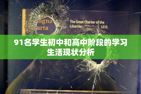 91名学生初中和高中阶段的学习生活现状分析