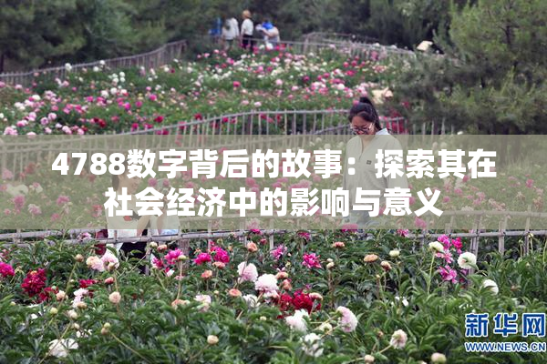 4788数字背后的故事：探索其在社会经济中的影响与意义