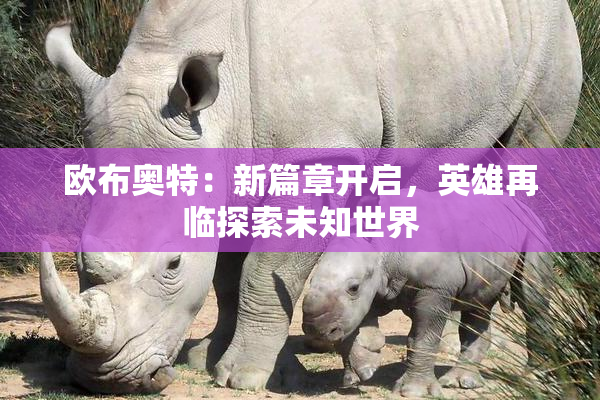 欧布奥特：新篇章开启，英雄再临探索未知世界
